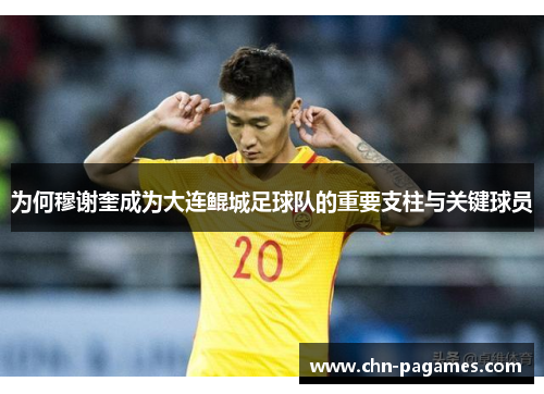 为何穆谢奎成为大连鲲城足球队的重要支柱与关键球员
