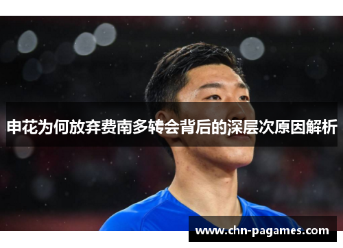 申花为何放弃费南多转会背后的深层次原因解析