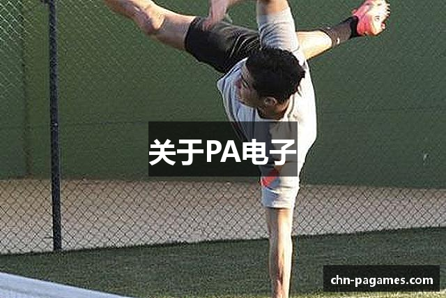 关于PA电子